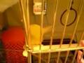 videos de 081228_2023~0001.m4v