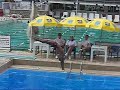 Saltos Ornamentais - Fluminense