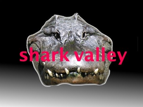 Shark Valley, Everglades National Park Florida.