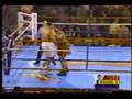 David-Tua-vs-Danell-