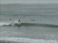 Guts Surfboards Noserider