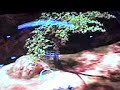halo 3 lift {tricks and glitchs}