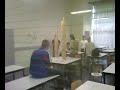 french Twin tower