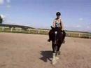 Marengo und Gaby1