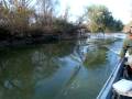 Tisza-tó