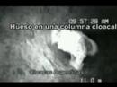 Cloacas Argentinas �