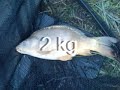 Carp fishing - Severin Croatia Carp fishing - Severin Croatia