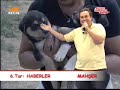 Mahser-i Cumbus 