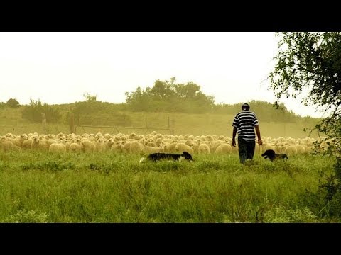 Top Billing has an unforgettable weekend in the Free State