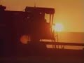 Transgênicos - Alimentos Diferenciados