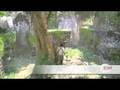 Uncharted: Chapter 2 - 6 treasures