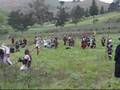 Mists Cynagua War Field Battle