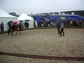 Horse Event clinic Emiel Voest