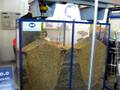 videos de FARMA