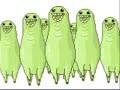 Bunchies Bunchies