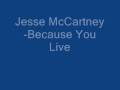 Jesse McCartney-Because You Live(with lyrics)