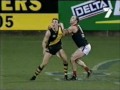 afl Australian Football League