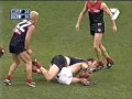 afl Australian Football League