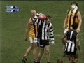 afl Australian Football League
