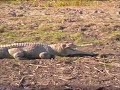 Kakadu National Park OZ Part 1
