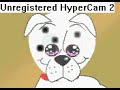 colliefoundation