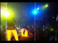 show vikingo tego calderon cafe cristal miami