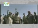 Policy Brief 11: Bush the UN and Terrorism