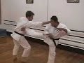 Isshinryu Shobu