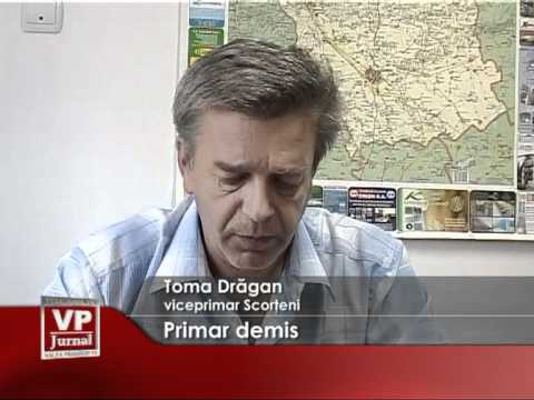 Primar demis