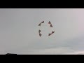crazydrivers revolution kite team - Dieppe 2008