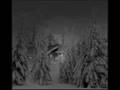Forest Stream - Snowfall