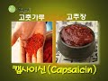 Korean Cuisine by Iron Chef Challenger Myung Lee