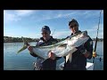 Trailer Boat Kingfish Trailer Boat Kingfish