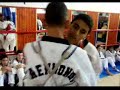 taekwando mehdi
