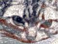 猫のディゾル画 猫のディゾル画