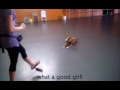 Click here to watch this video Lucy leave it.wmv