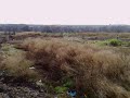 Beddington 360 degree view Beddington 360 degree view