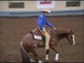1993 AQHA SENIOR REINING WORLD CHAMPION