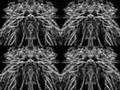 Outside-In(finite)