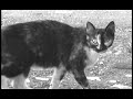 moby video   why does my heart feel so bad?