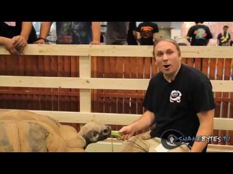 YouTube reptile video