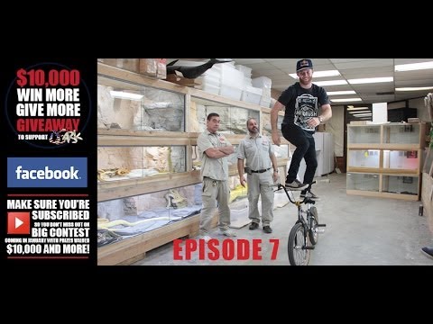 YouTube reptile video