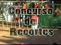 concurso de recortes de tabernes blanques