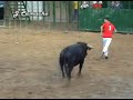 concurso de recortes de tabernes blanques