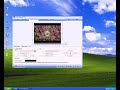 make-swfflv-from-avi-mov-wmv-mp43gpdvdetc.html