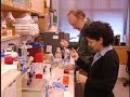 an introduction to friedreich's ataxia and the friedreich's ataxia research alliance (fara) as told by interviews with patients, families, researchers, and fara employees.