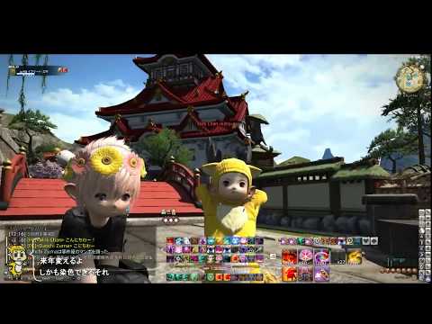動画