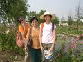 Nanjing Immersion (Teacher)