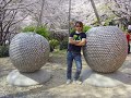 HIJAU%20DAUN%20COBALAH
