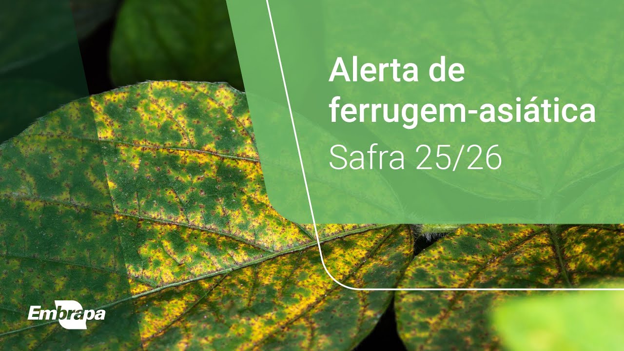 Alerta  de ocorrência da Ferrugem-asiática na safra 2025/2026